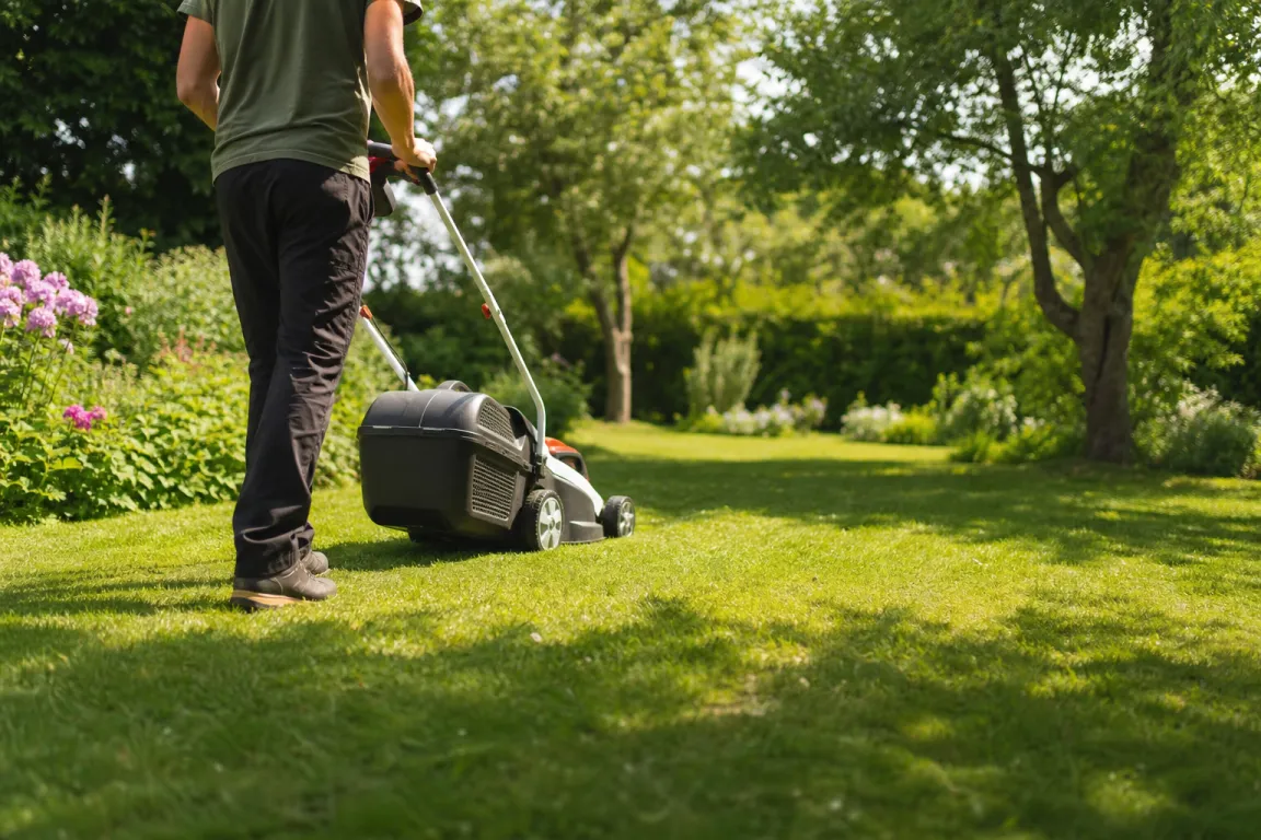 Eldriven gräsklippare klipper en villagräsmatta en sommardag