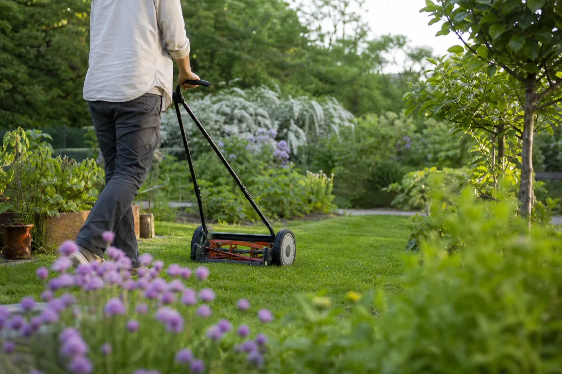 Handgräsklippare med spiralknivar klipper gräs i en mindre trädgård