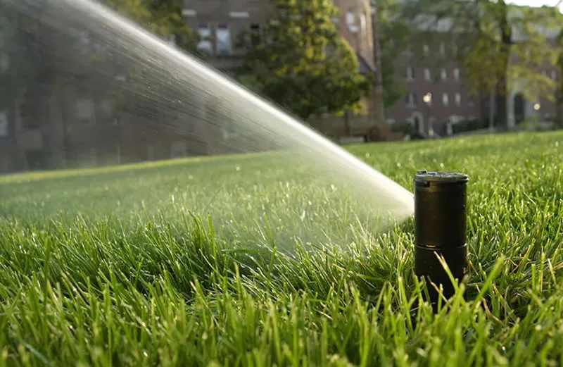 Rainbird Bevattningssystem