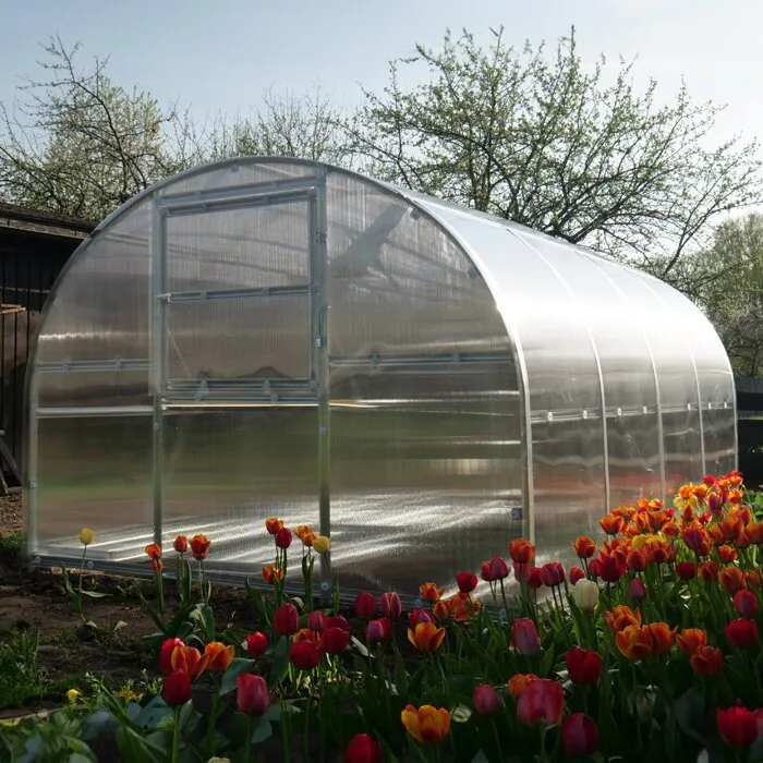 Bloomcabin högt tunnelväxthus i polykarbonat